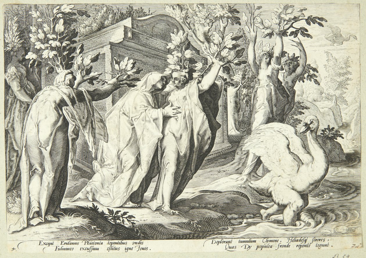 Phaetonovy sestry se promění v topoly a Cygnus v labuť od Hendrick Goltzius