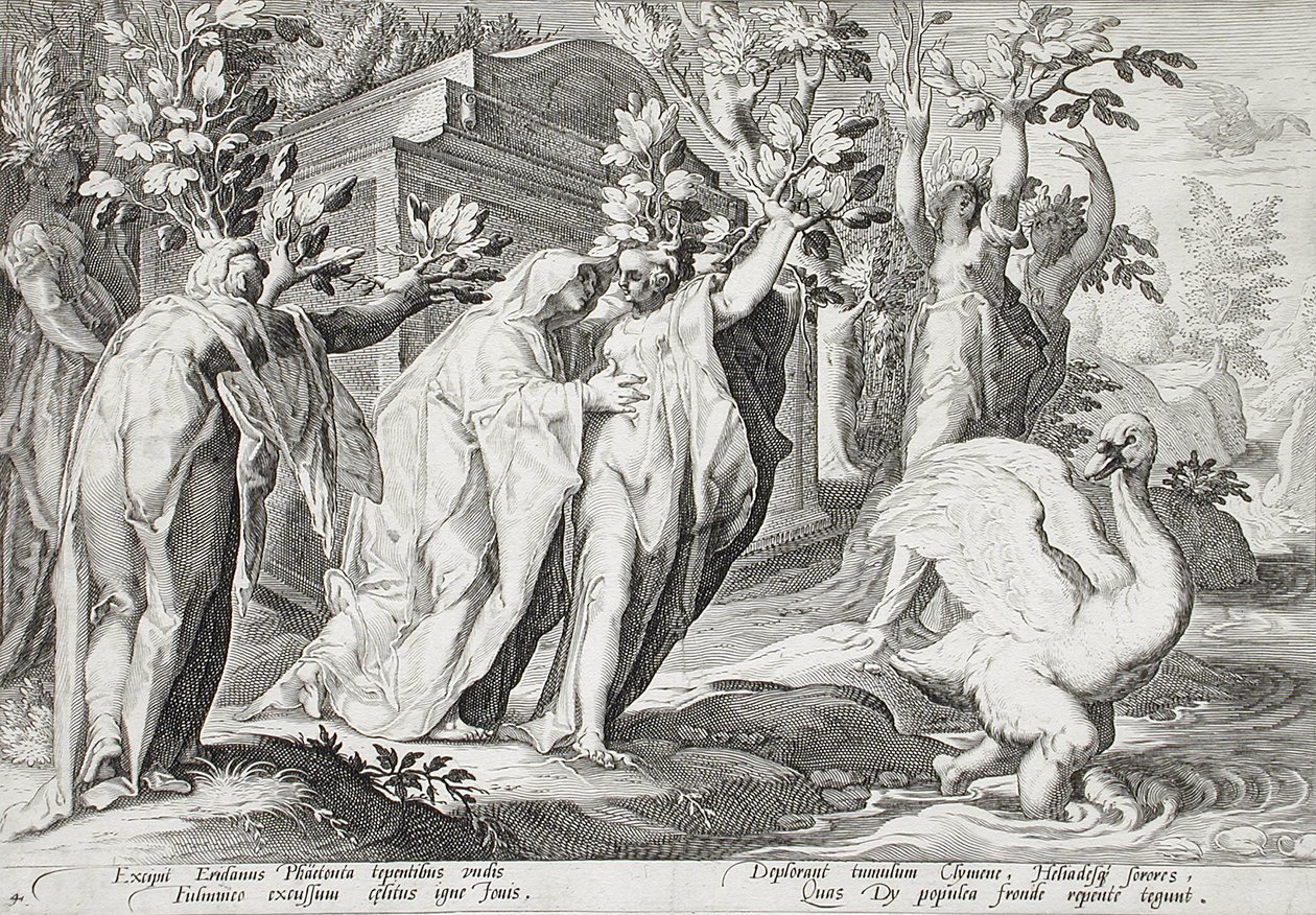 Phaethontovy sestry proměněné v topoly a Cygnus v labuť od Hendrick Goltzius