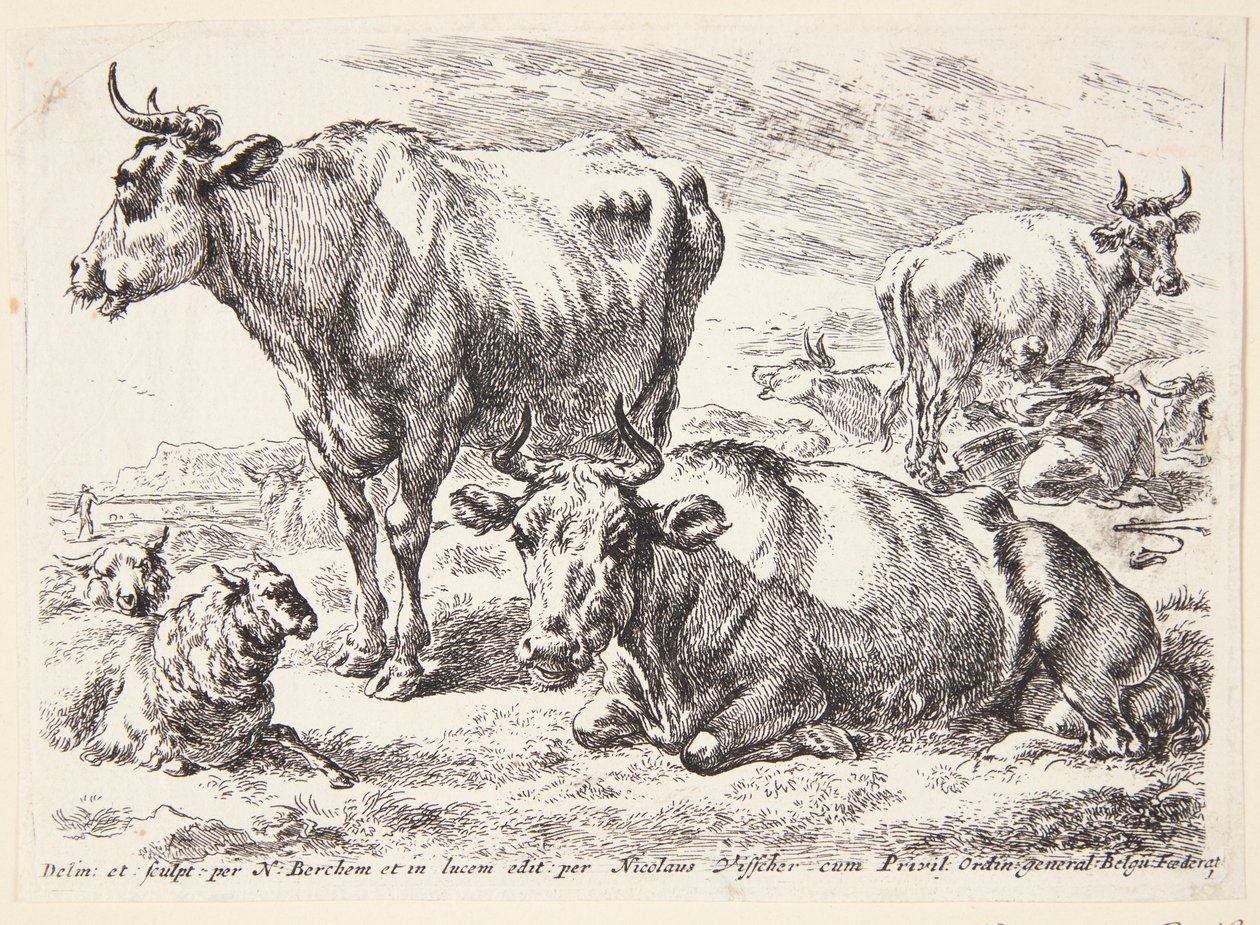 Portrét člena rodiny Outových. Cornelis Out (?) od Hendrick Goltzius
