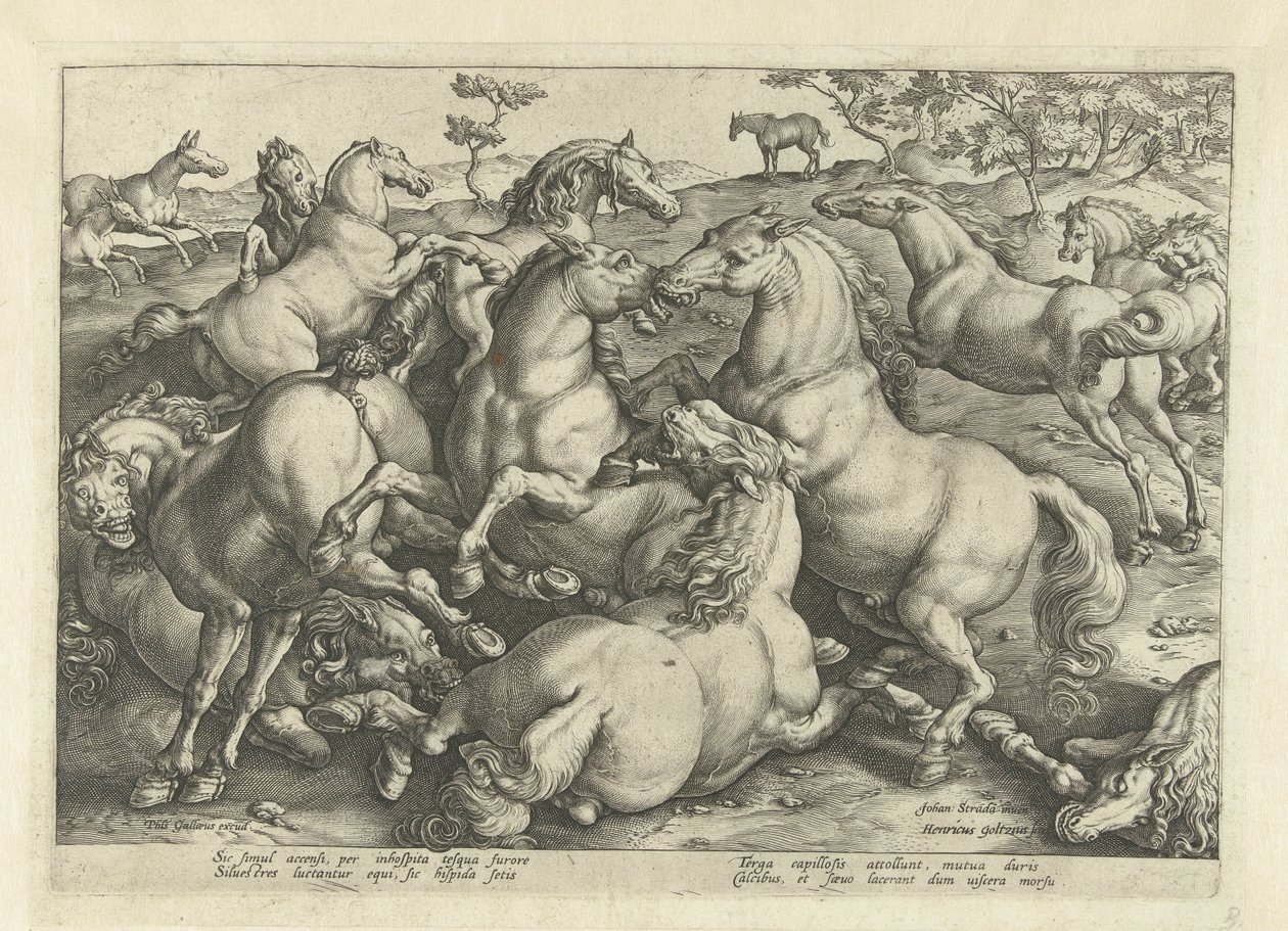 Dvanáct bojových koní Plemena koní z královské stáje Dona Juana z Rakouska (název seriálu) od Hendrick Goltzius