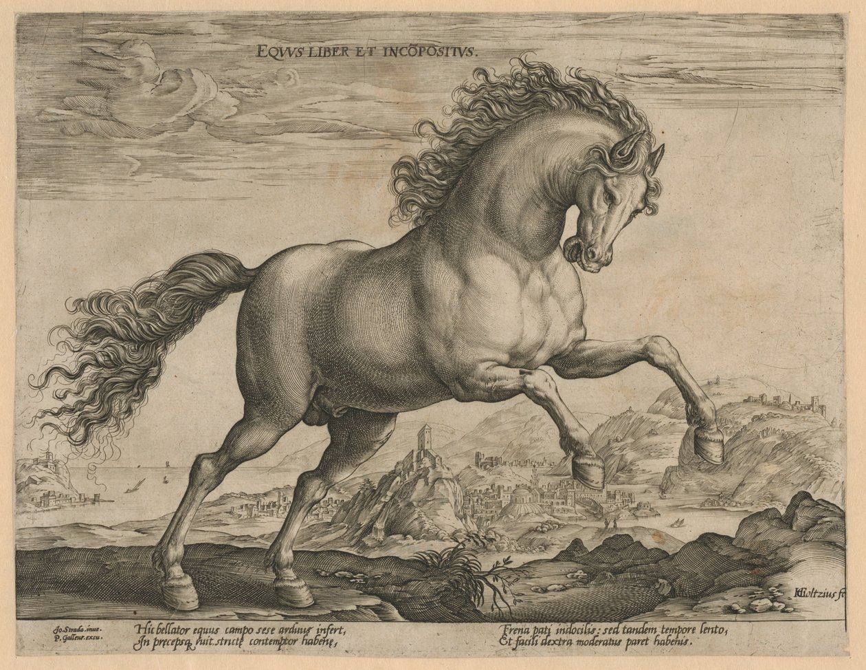 divoký kůň Eqvvs liber et incompǒsitvs (název na objektu) Plemena koní z královské stáje Dona Juana z Rakouska (název seriálu) od Hendrick Goltzius