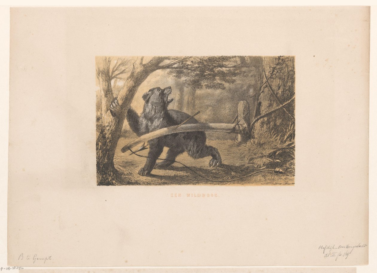 medvěd v pasti Wildbow (název na objektu) od Hendrik Adriaan Christiaan Dekker