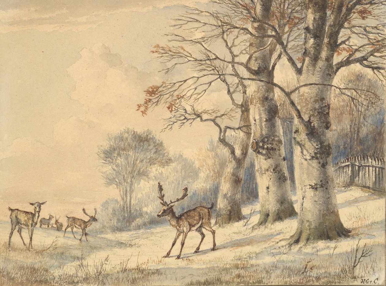 Jelen pod buky v létě, 1853. od Hendrik Gerrit ten Cate
