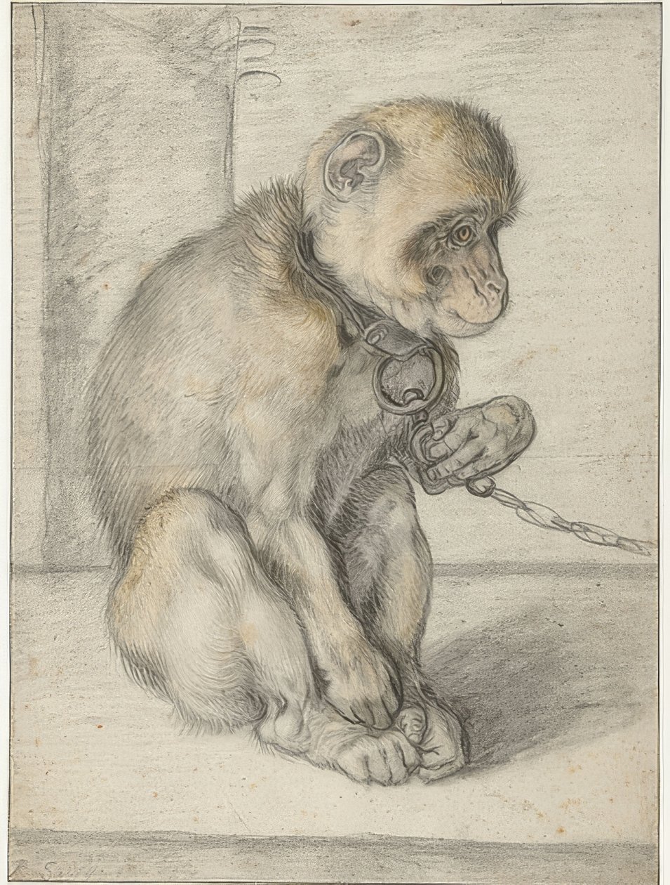Sedící opice na řetězu. 1592-1602 od Hendrik Goltzius