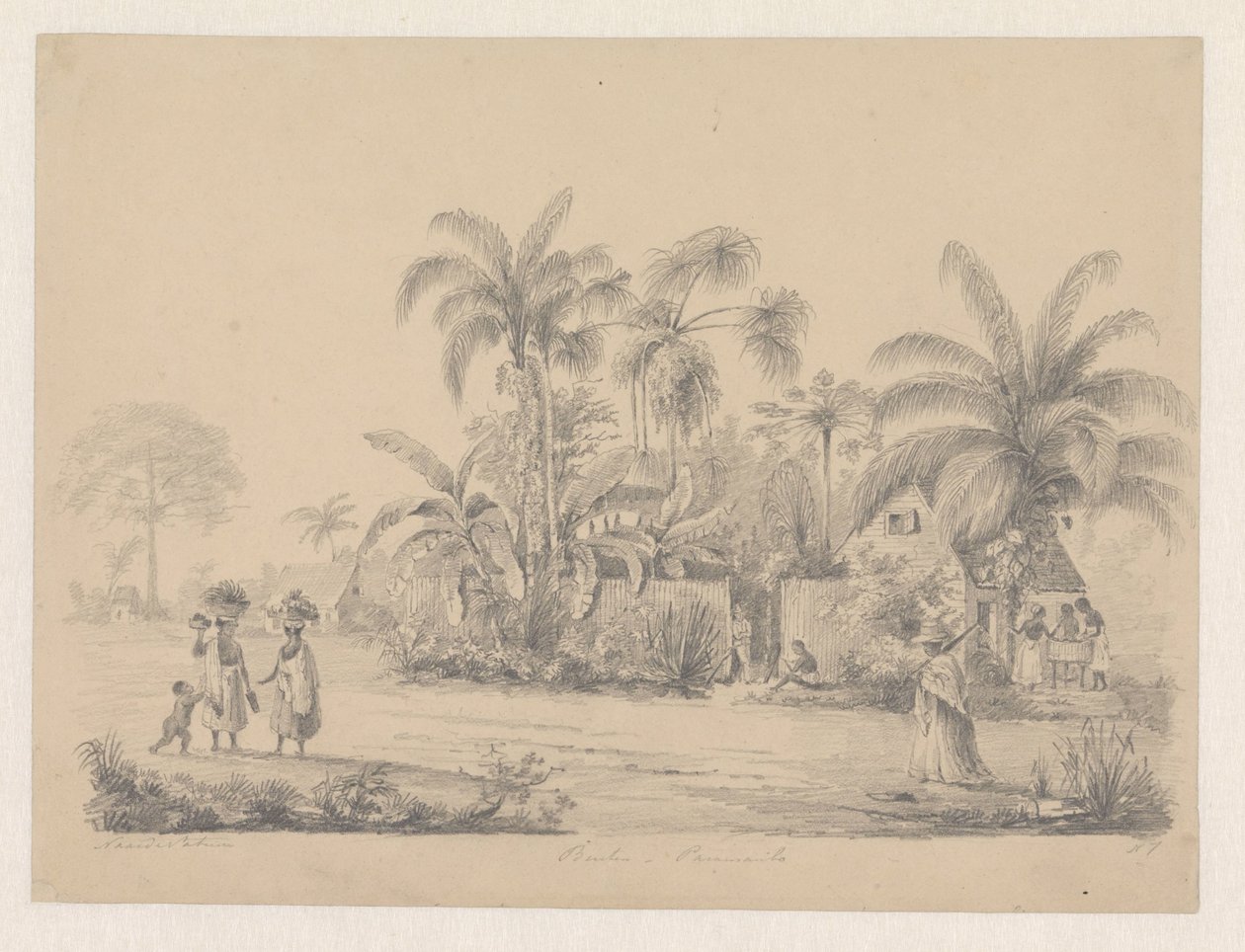 Pohled na ulici kousek od Paramaribo od Hendrik Huygens