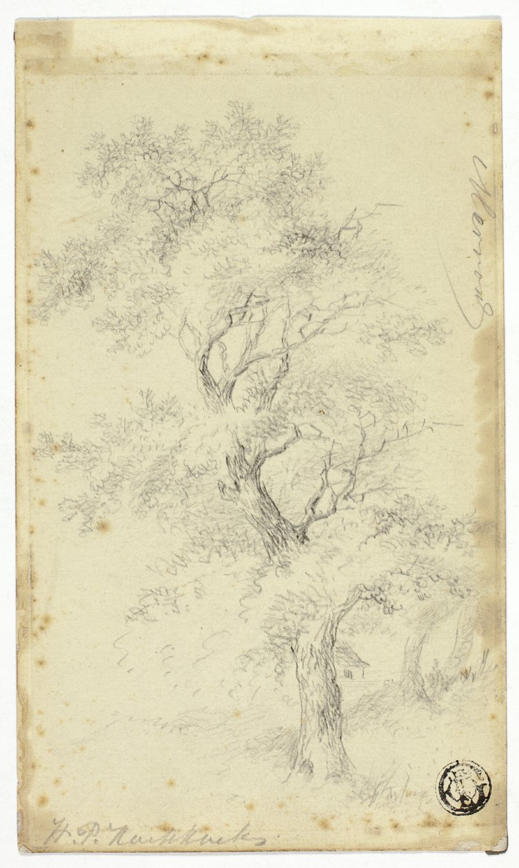 Merron od Hendrik Pieter Koekkoek