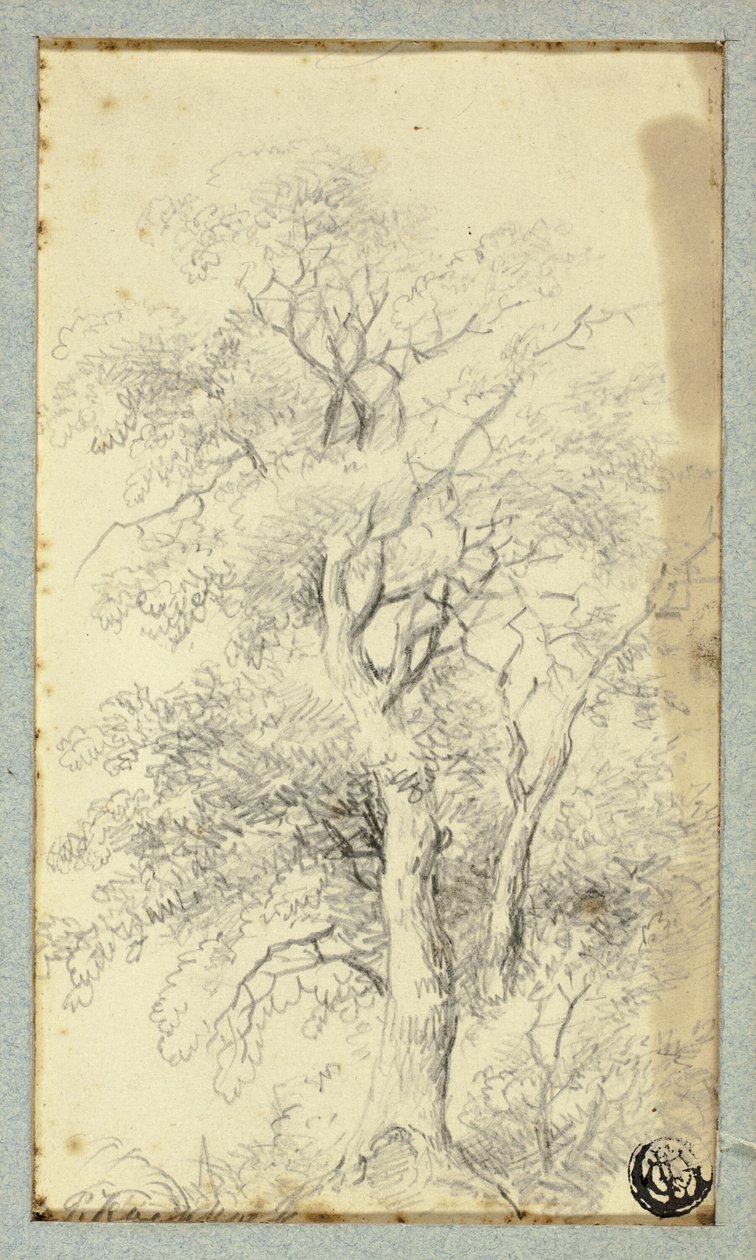 Strom od Hendrik Pieter Koekkoek