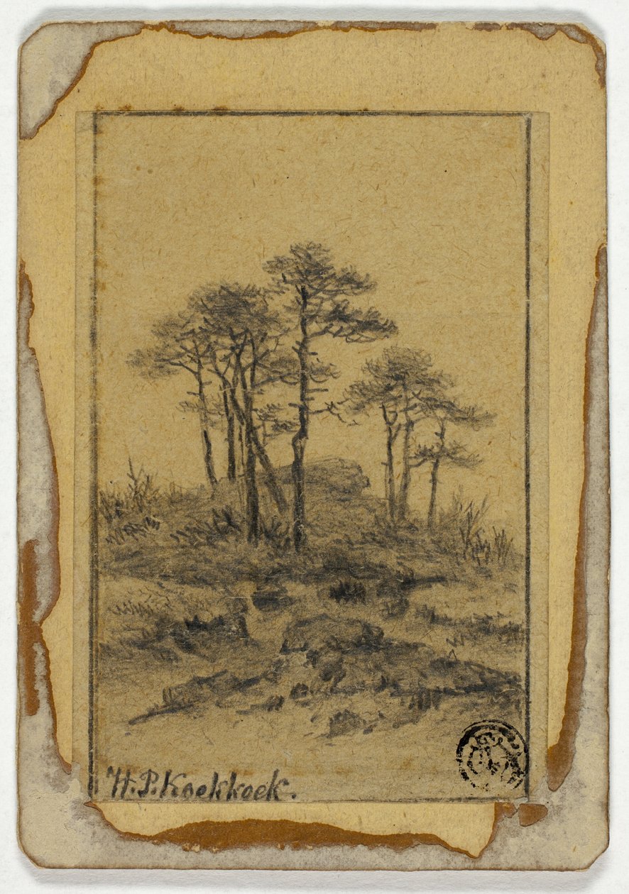 Stromy na Rocky Hill od Hendrik Pieter Koekkoek