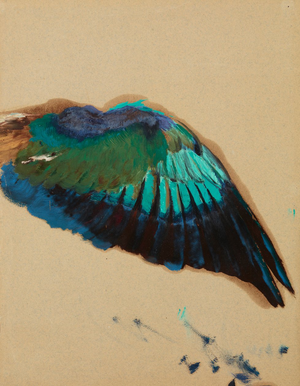 Study of a Wing, c.1899 (olej na papíře) od Henryk Siemiradzki