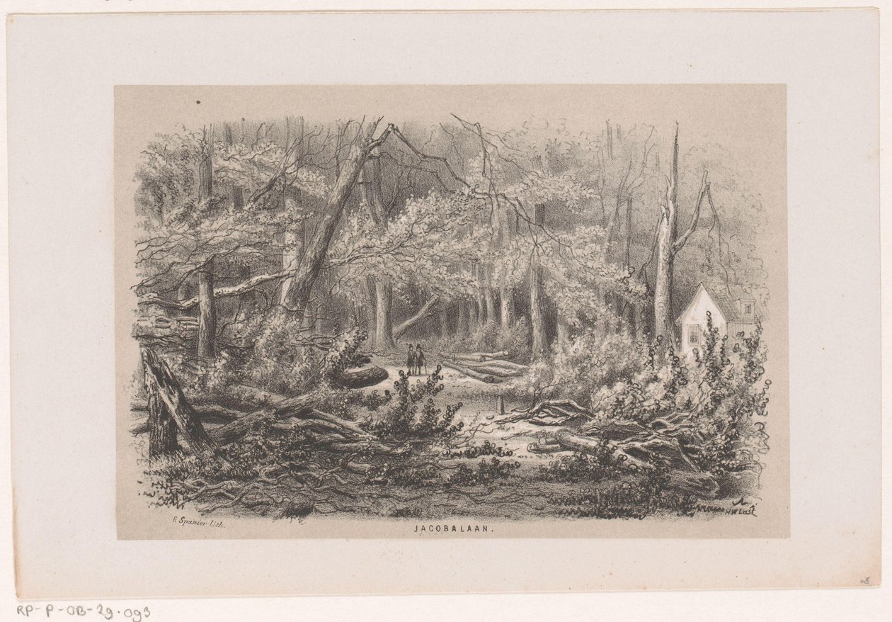 Stromy spadlé na Jacobalaanu po bouři z 28. května 1860 Jacobalaan (název na objektu) Album deseti litografických skic, zobrazujících Tooneelena zkázy, rozrušeného bouří z 28. května 1860 v Gravenhaagsche Bosch, od Hendrik Wilhelmus Last