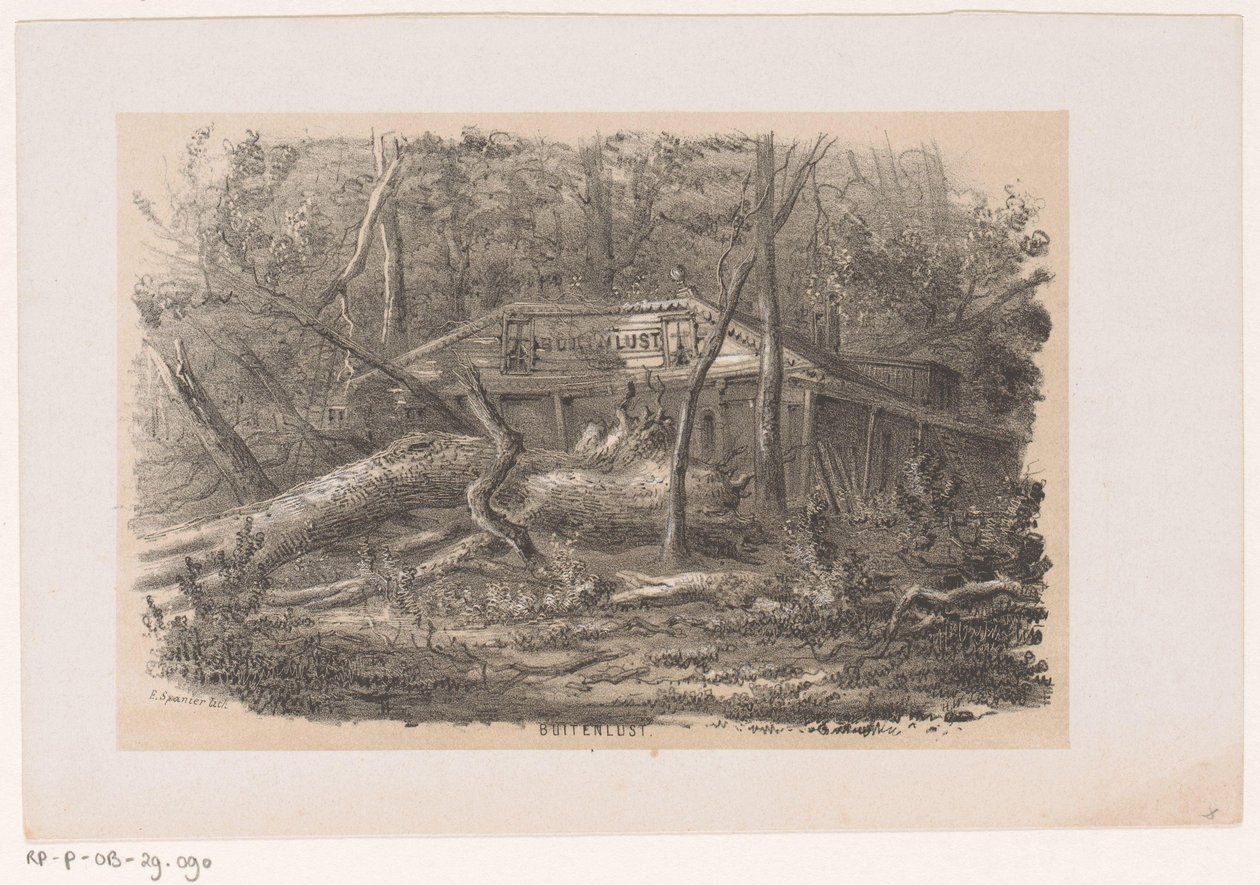 Strom spadl v Buitenlustu po bouři 28. května 1860 Buitenlust (název na objektu) Album deseti litografických skic, zobrazujících Tooneelena zkázy, rozrušeného bouří z 28. května 1860 v Gravenhaagsche Bosch, v S od Hendrik Wilhelmus Last