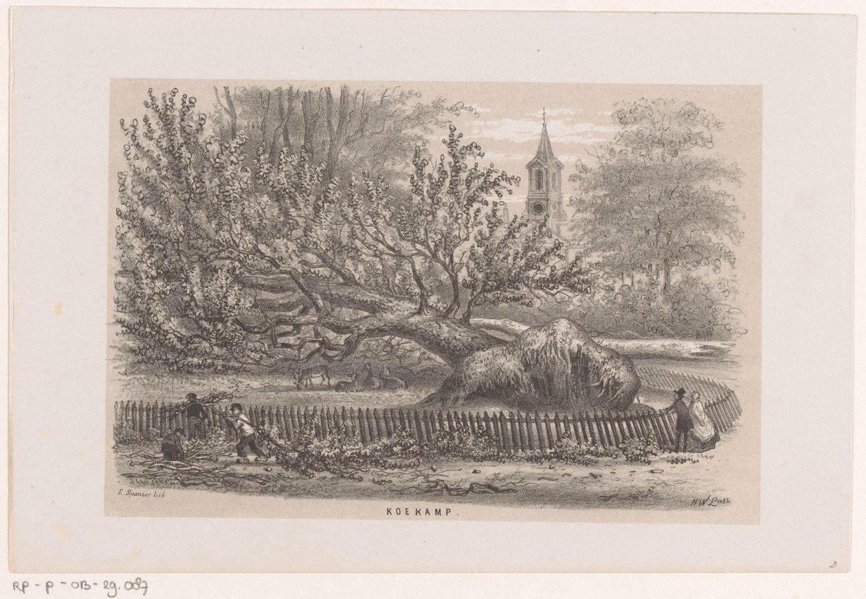 Strom spadl u Koekampu po bouři z 28. května 1860 Koekamp (název na objektu) Album deseti litografických skic, zobrazujících Tooneelena zkázy, rozrušeného bouří z 28. května 1860 v Gravenhaagsche Bosch, v Sche od Hendrik Wilhelmus Last