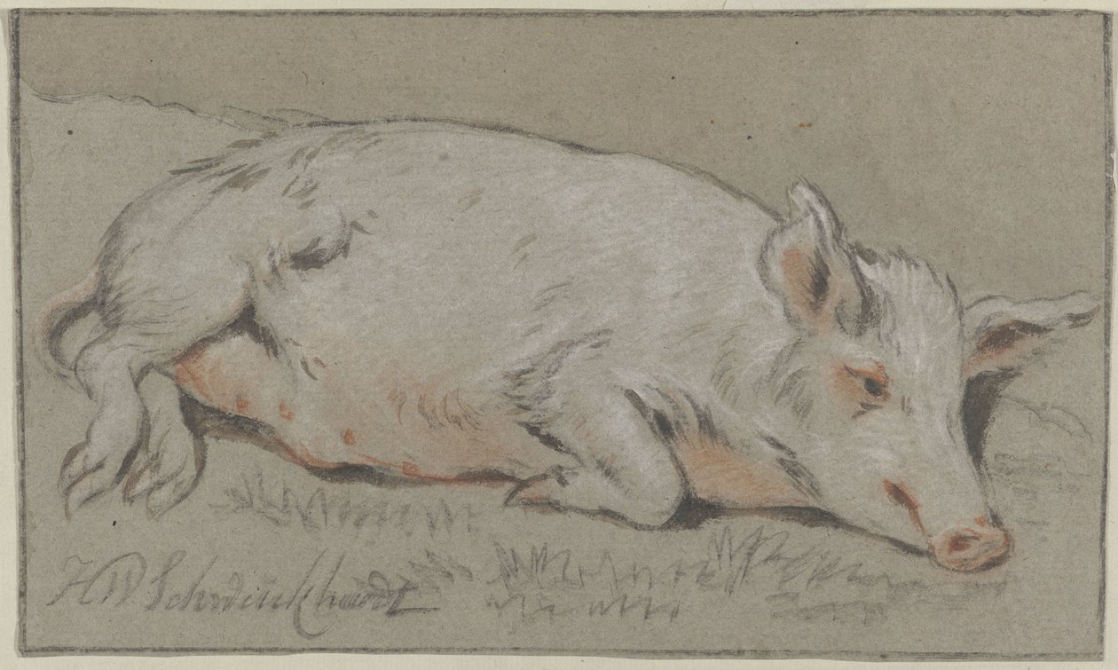 ležící prase od Hendrik Willem Schweickhardt (signed by artist)