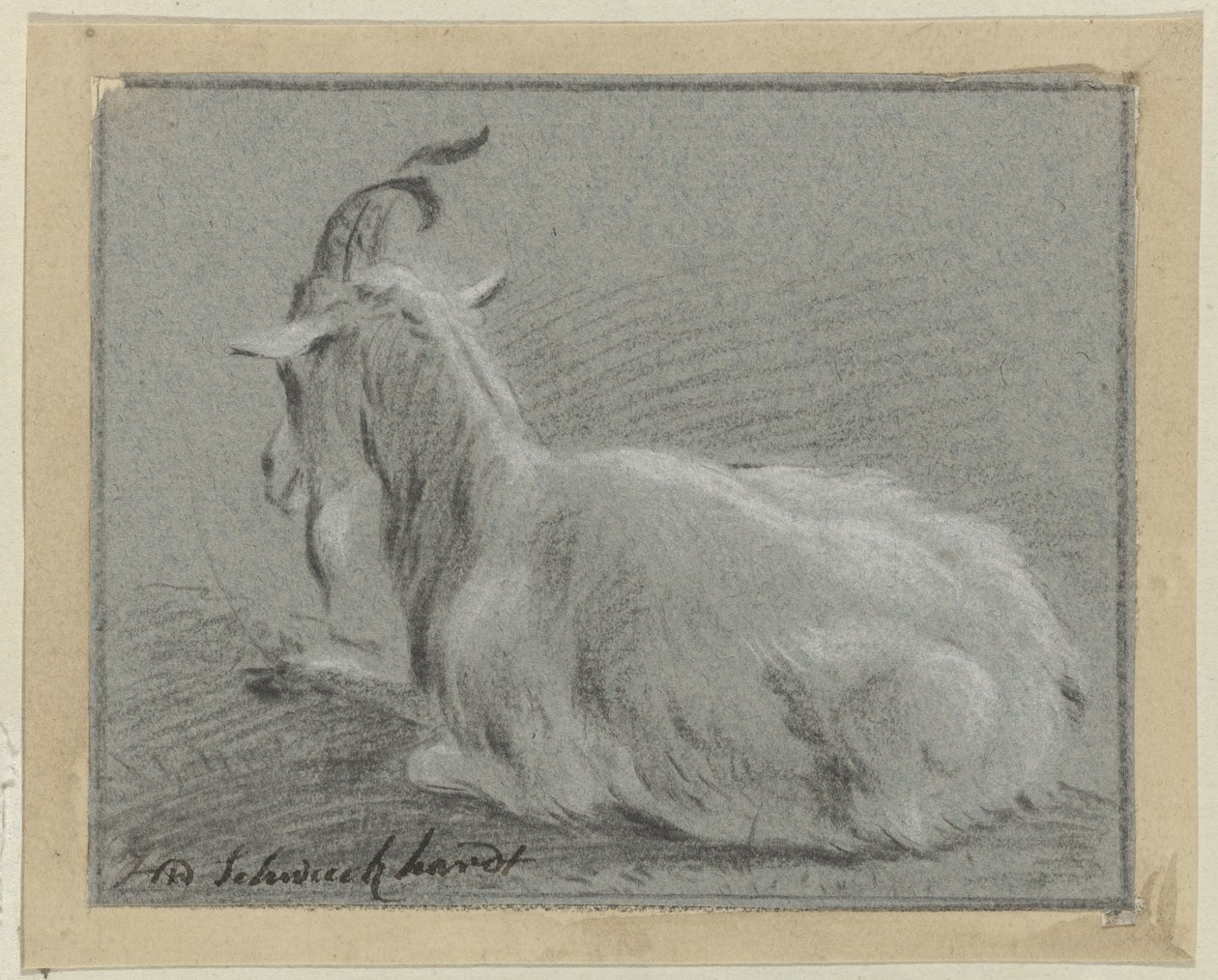 ležící koza od Hendrik Willem Schweickhardt (signed by artist)