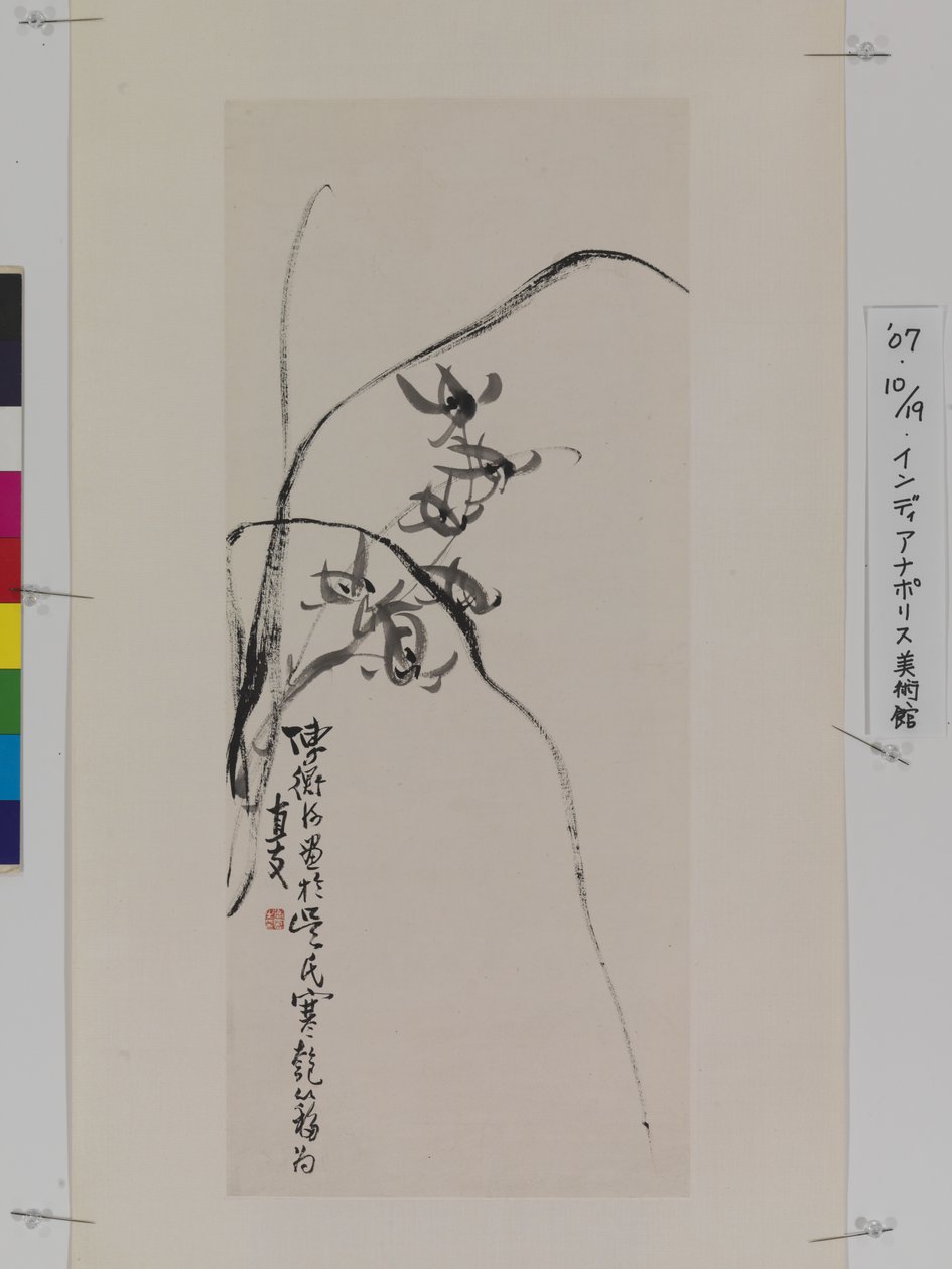 Orchideje (inkoust na papíře) od Hengke Chen