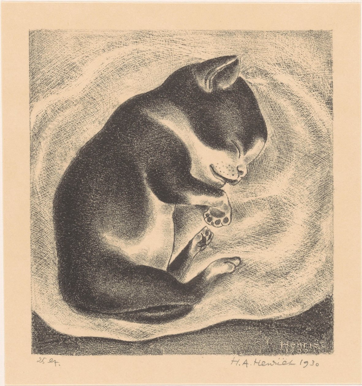 Spící mladá kočka od Henk Henriët (signed by artist)