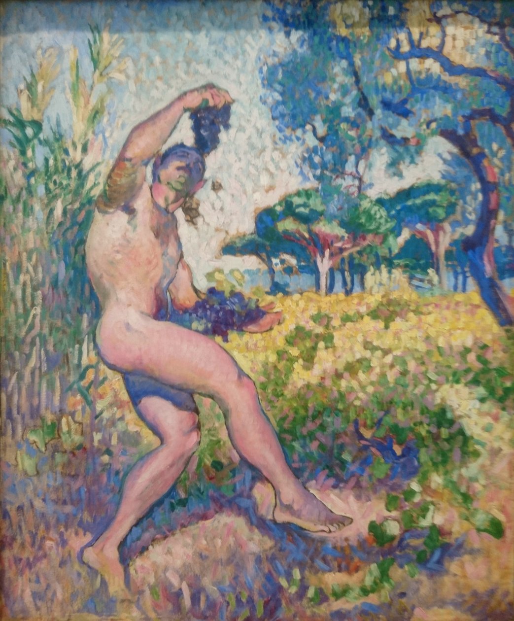 Průzkum volně žijících živočichů od Henri Edmond Cross
