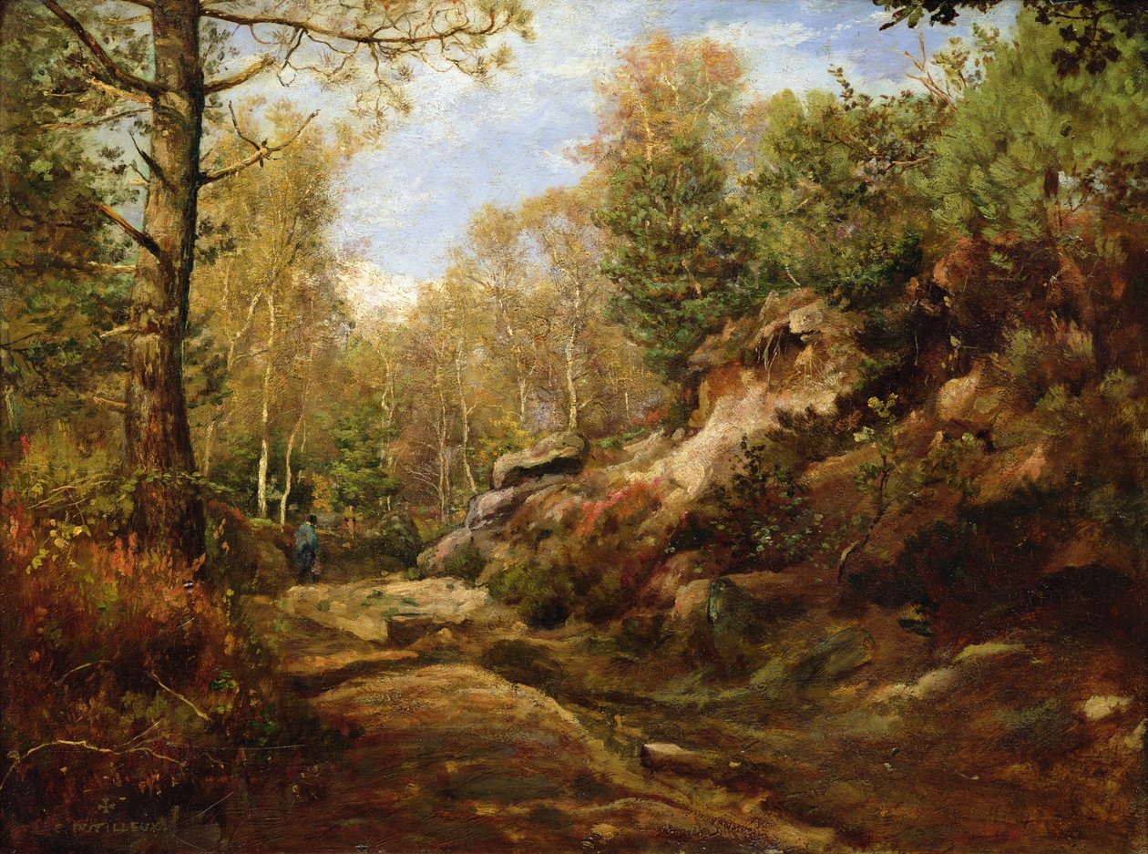 Borovice a břízy aneb Les Fontainebleau, cca 1855-57 od Henri Joseph Constant Dutilleux