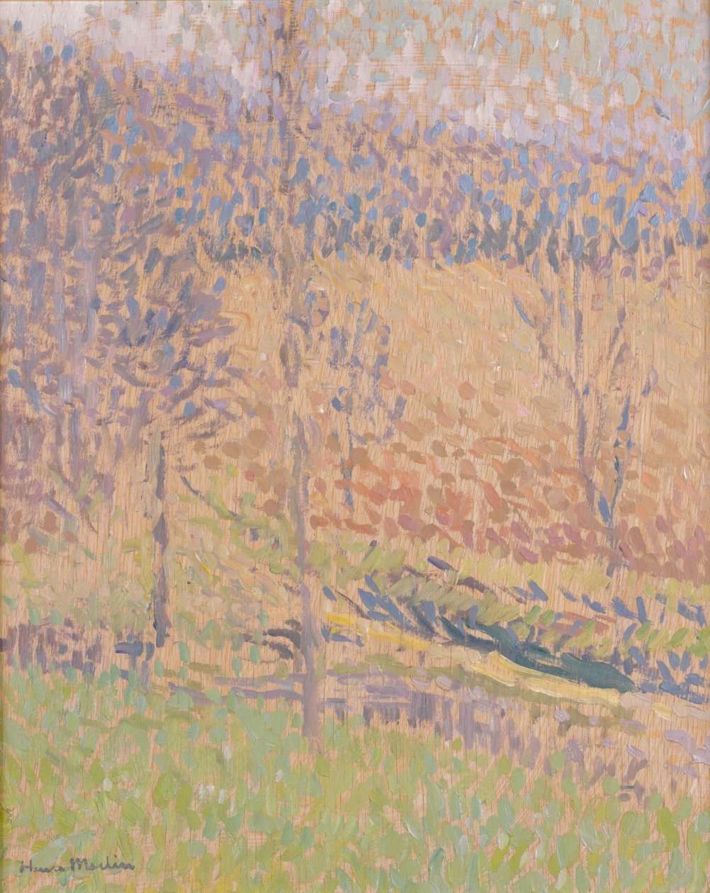 V mlze, kolem 1890-1910 od Henri Martin