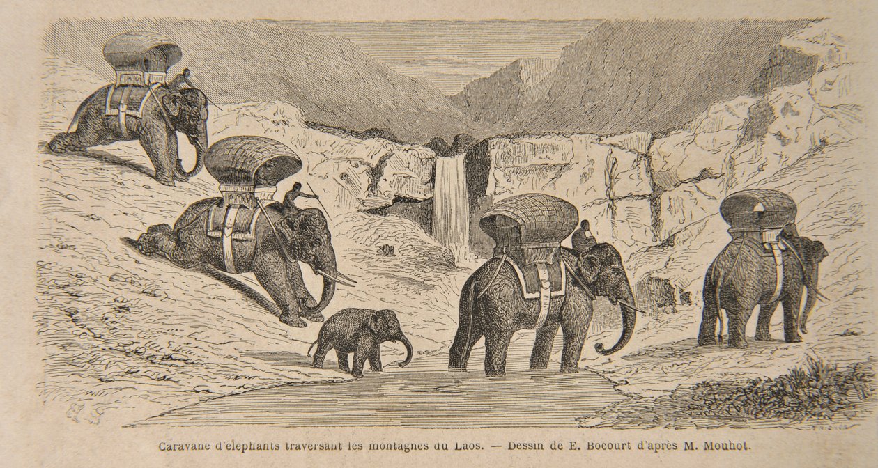 Caravan of Elephants Crossing the Mountains of Laos, tisk E. Bocourt, ilustrace z „Cesty v centrálních částech Indočíny (Siam), Kambodži a Laosu v letech 1858, 1859 a od Henri Mouhot