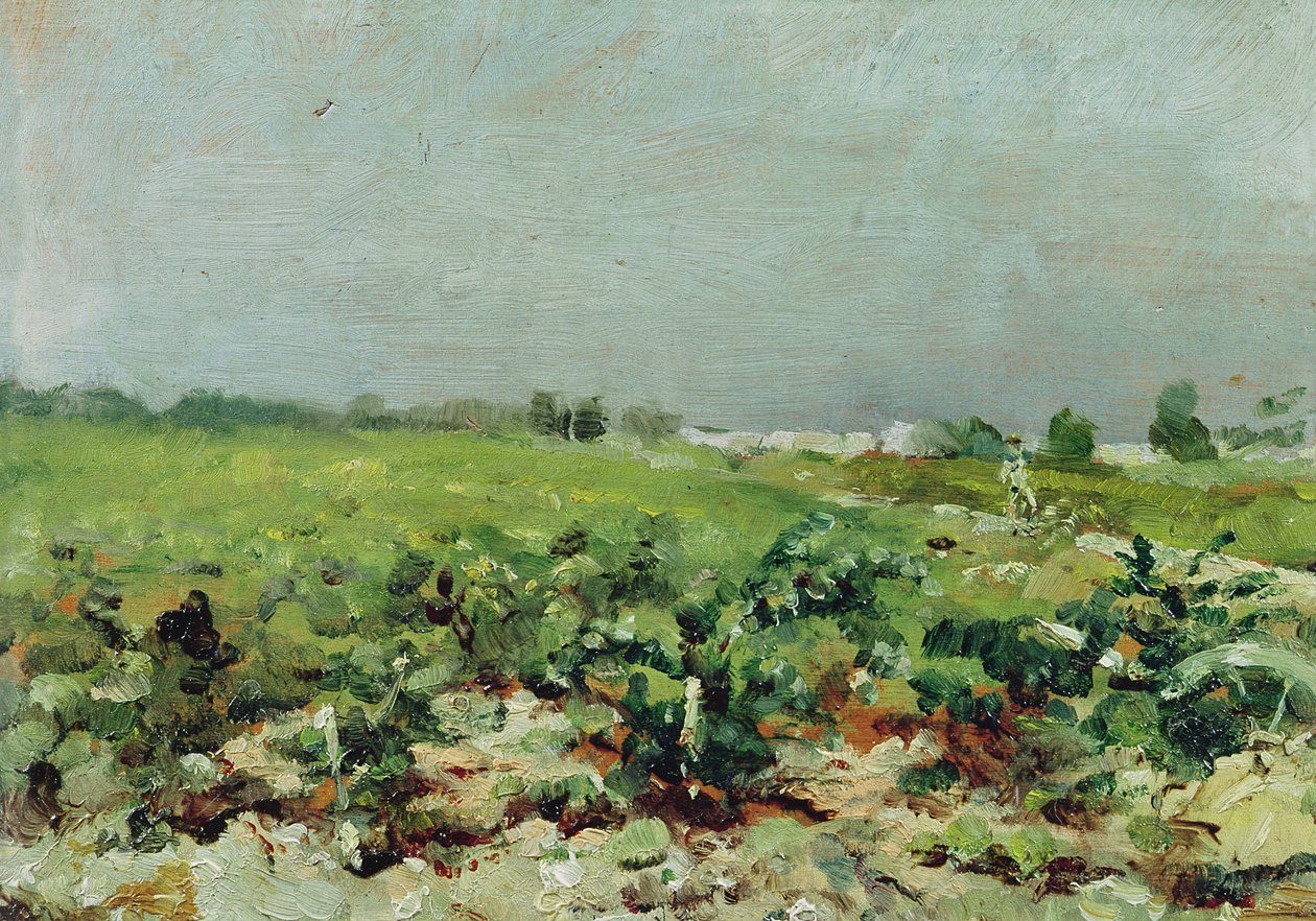 Celeyran, Pohled na vinici, 1880 od Henri de Toulouse Lautrec