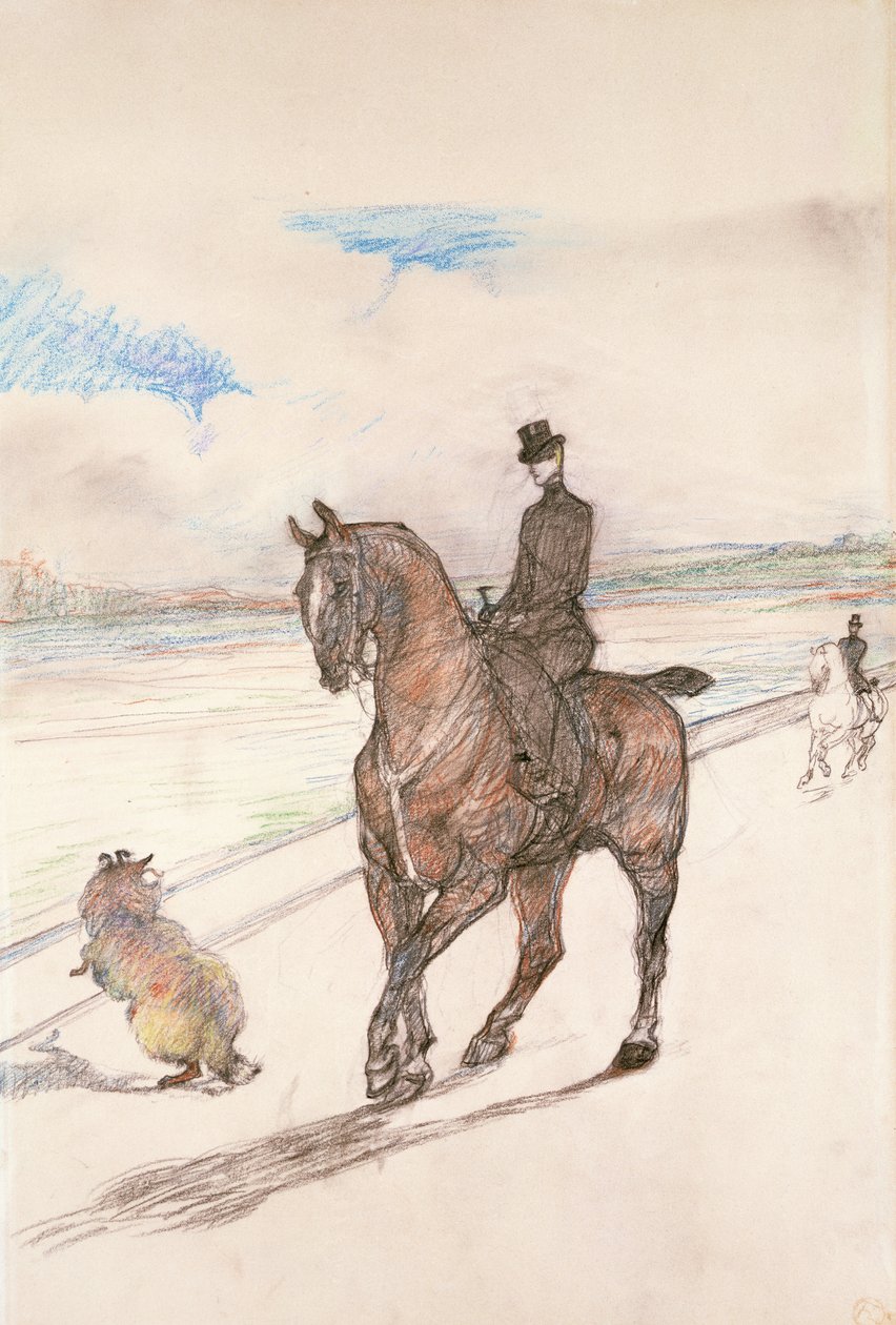 The Amazon, c.1899 (barevná tužka na papíře) od Henri de Toulouse Lautrec