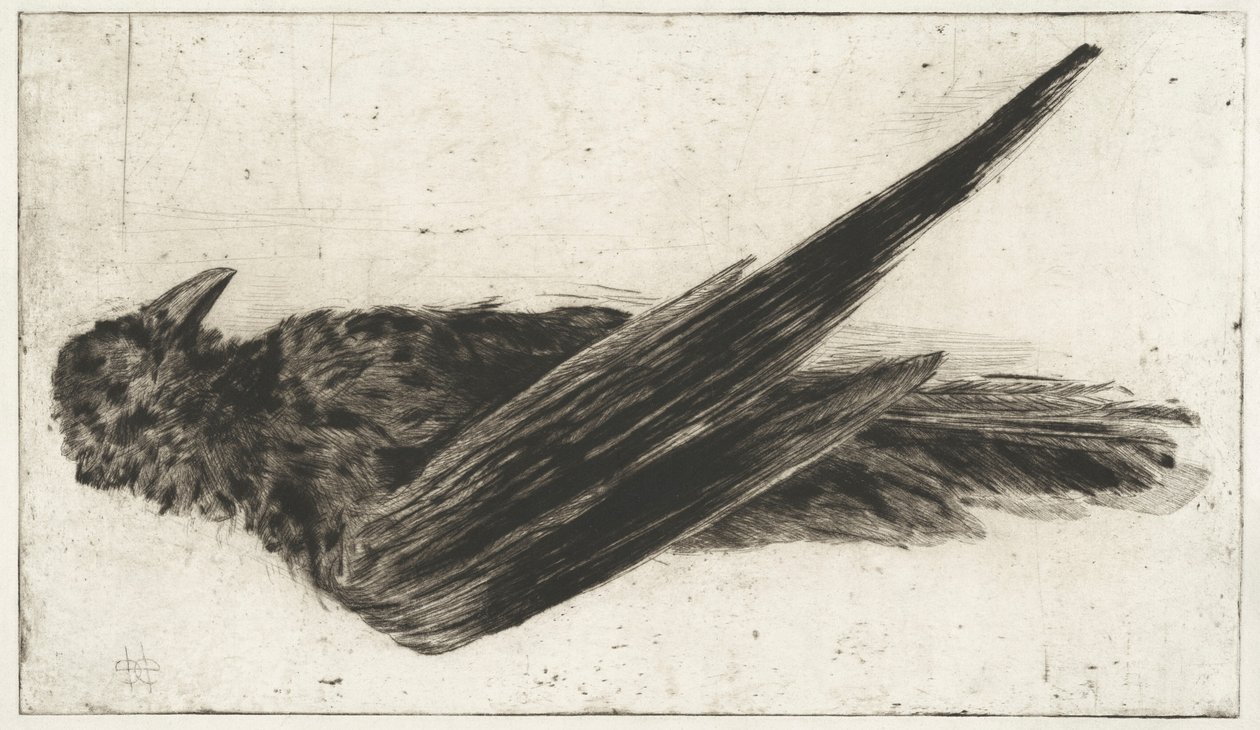 Velký visící havran od Henri-Charles Guérard