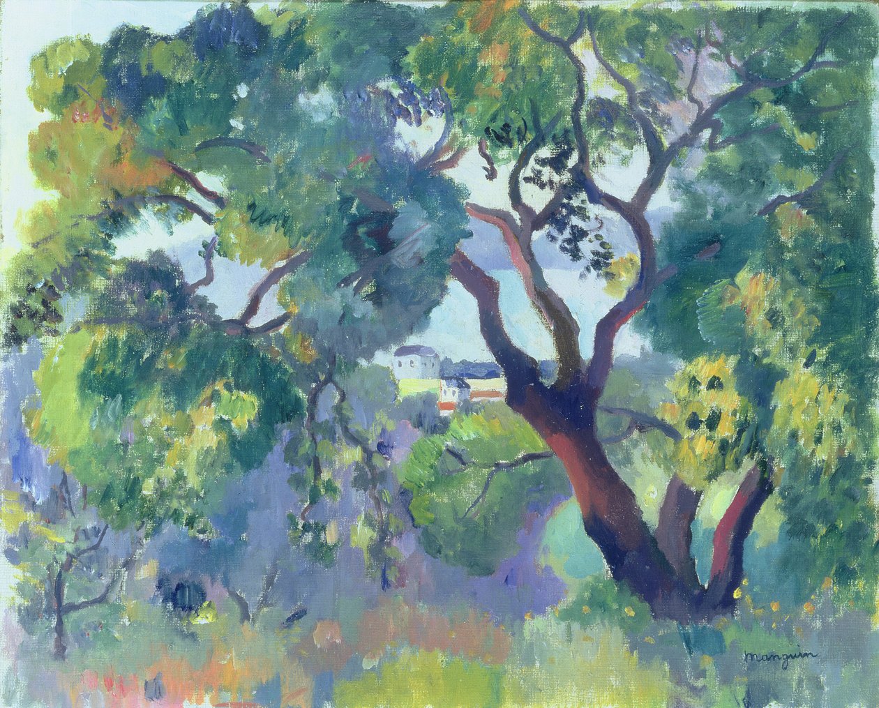 Krajina v Saint-Tropez od Henri Charles Manguin