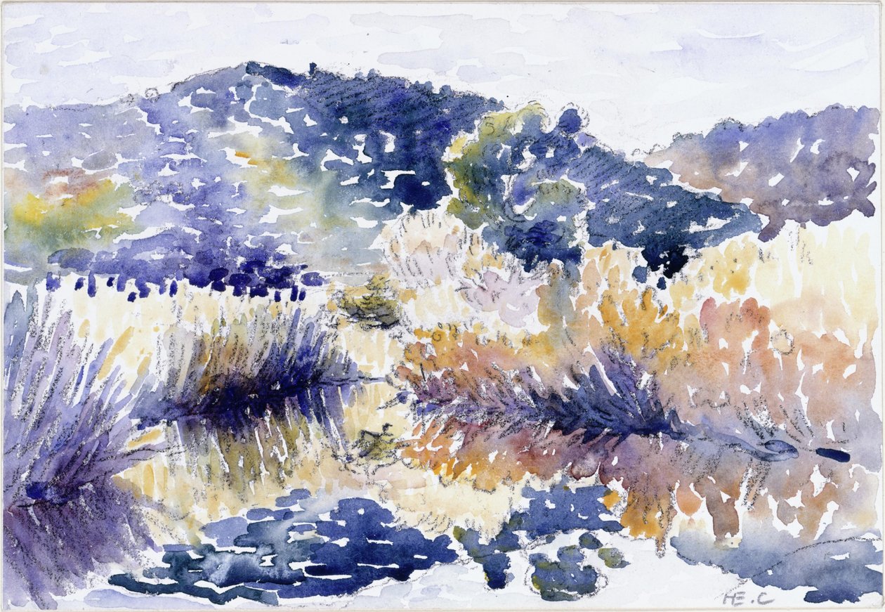 Rybník v křovinách od Henri-Edmond Cross