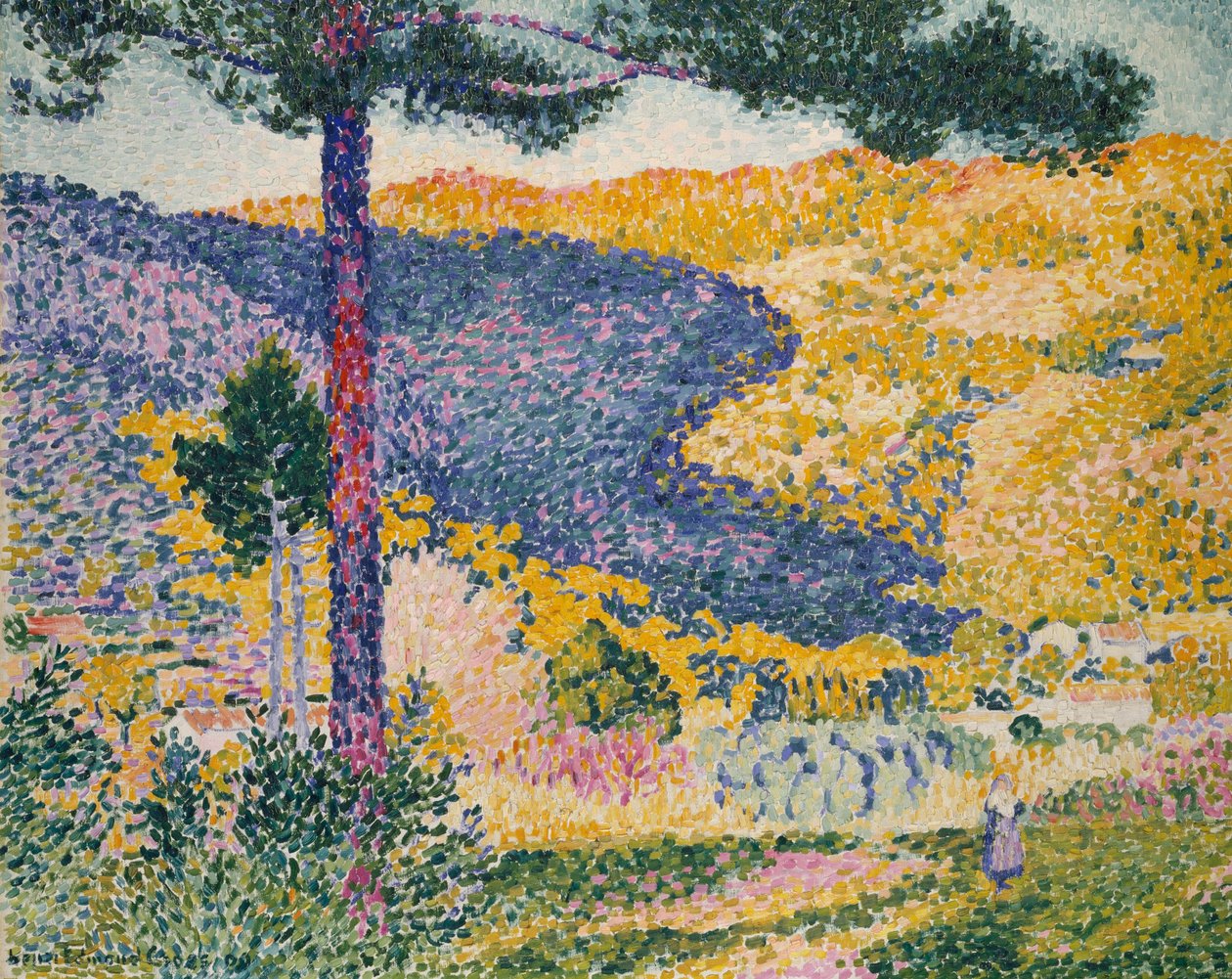 Údolí s jedlí (Stín na hoře) od Henri Edmond Cross
