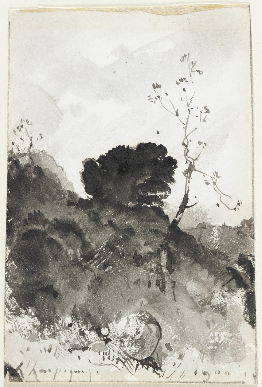 Krajina od Henri-Joseph Harpignies