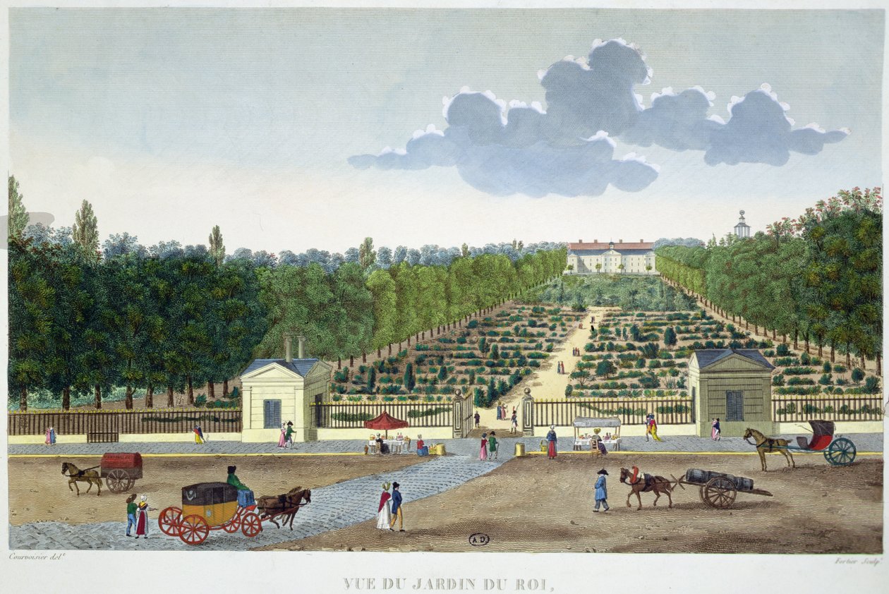 Pohled na Jardin du Roi v Paříži z mostu Austerlitz, vyrytý Claudem Fortierem (1775-1835) (barevná rytina) od Henri (after) Courvoisier Voisin