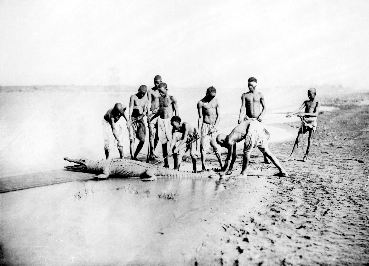 Lov krokodýla, Núbie, Egypt, 1887 od Georges Henri Bechard
