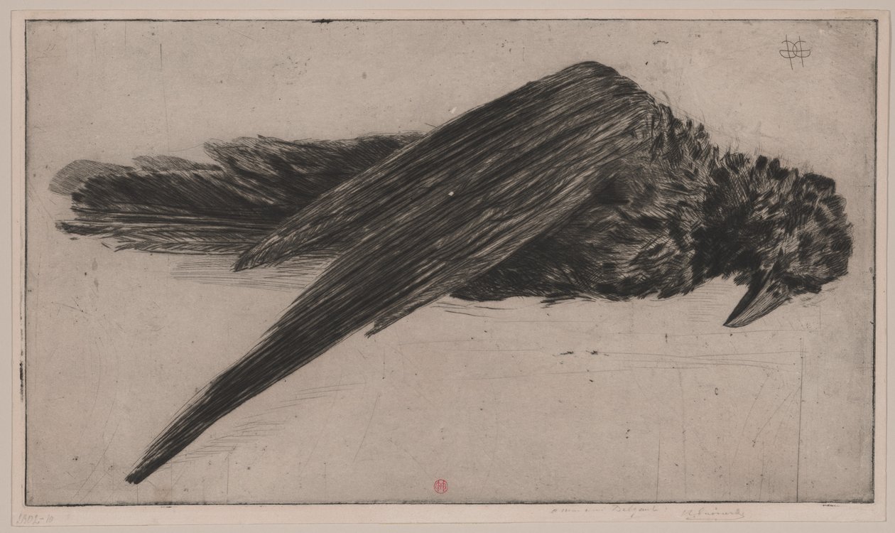 Velký visutý havran (Le Grand Corbeau Pendu), od Henri Charles Guérard