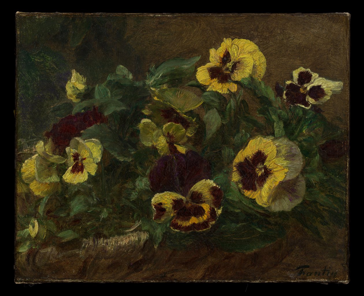 Pansies od Henri Fantin-Latour