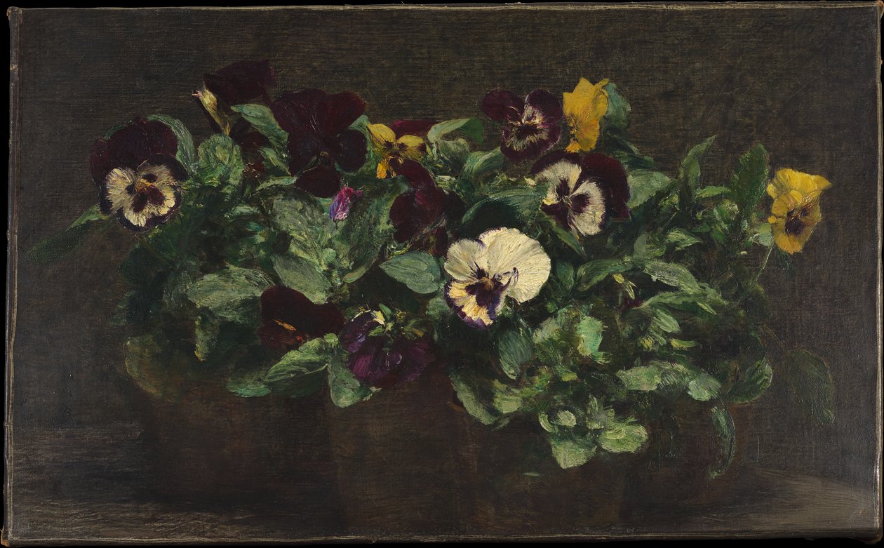 Zátiší s maceškami od Henri Fantin-Latour