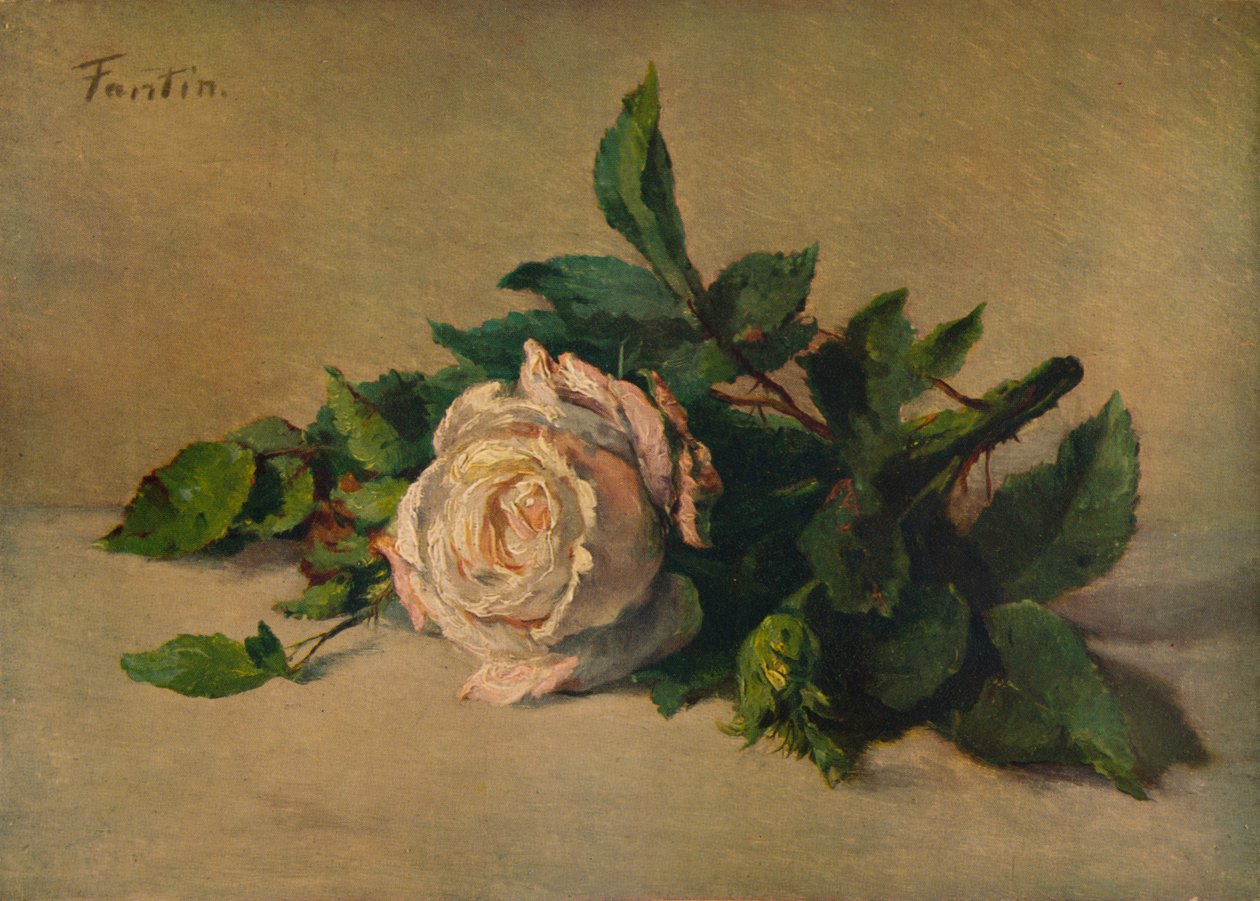 Bílá růže, c1863, 1938 od Ignace Henri Jean Fantin Latour