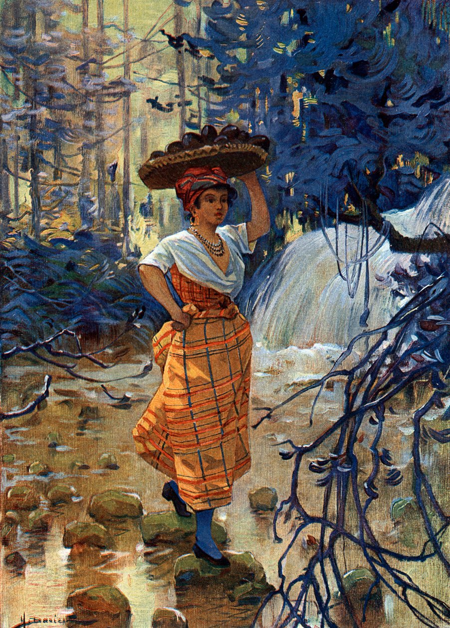 Portrét mladé kreolské ženy z Francouzských Antil od Henri Gaston Darien