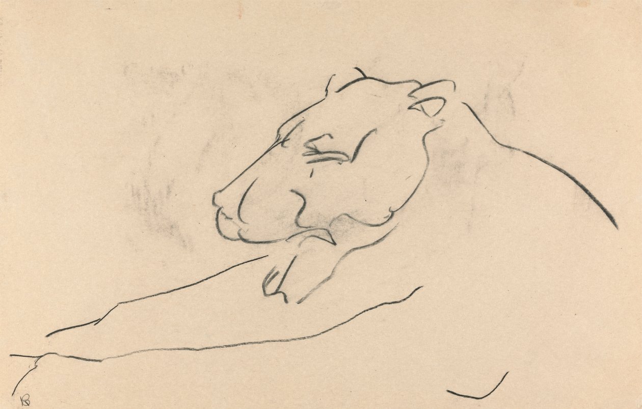Ležící lvice od Henri Gaudier Brzeska