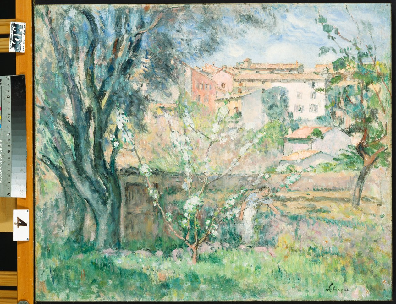 Umělcova zahrada v Cannet, 1931 od Henri Lebasque