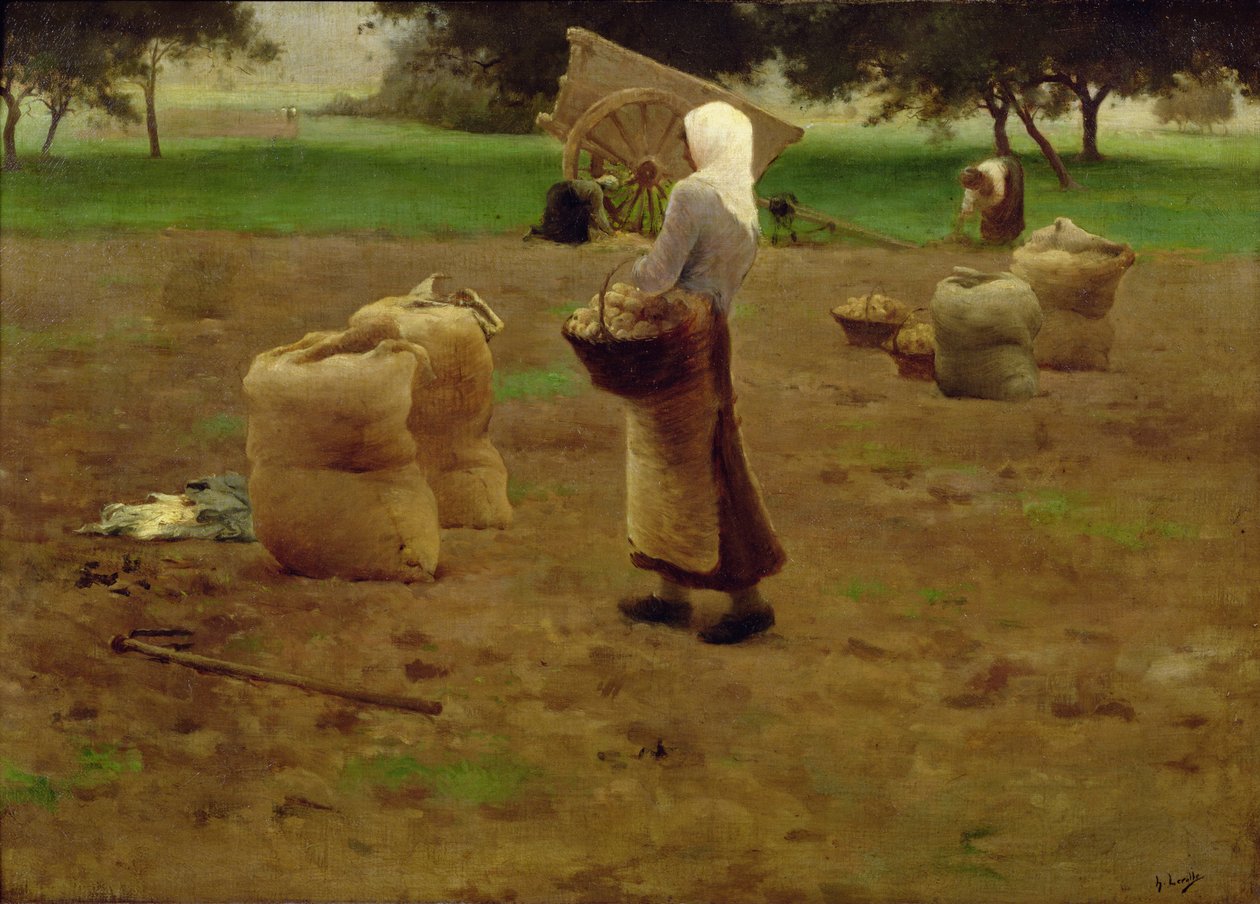 Sklizeň brambor od Henri Lerolle