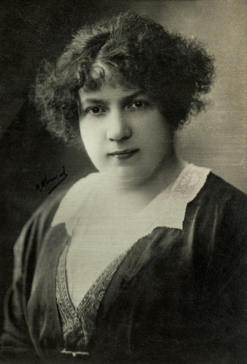 Portrét paní Adolphe Brisson dit Yvonne Sarcey (foto) od Henri Manuel