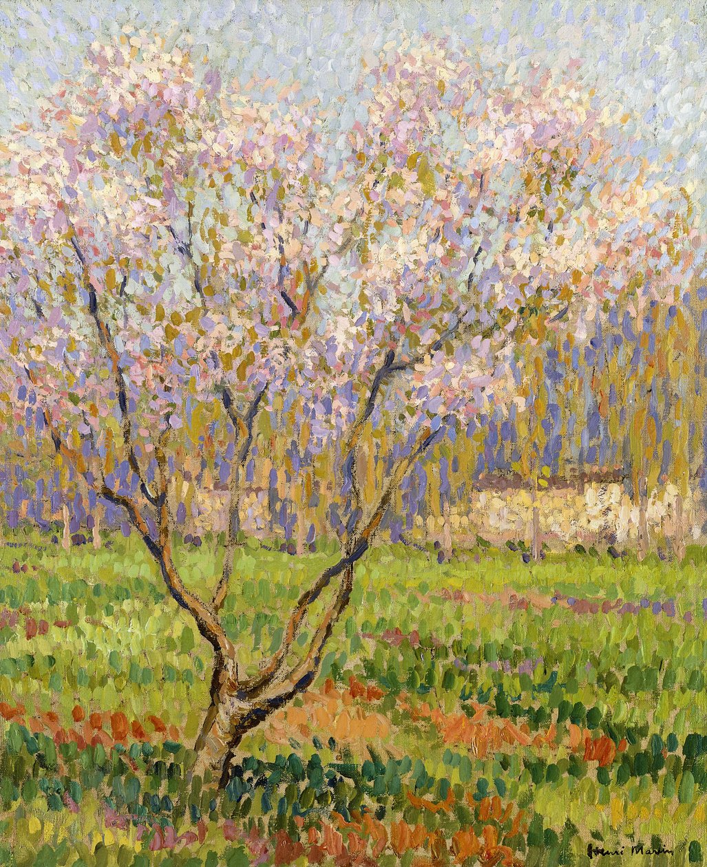 Jabloň v květu; Jabloňové květy, od Henri Martin
