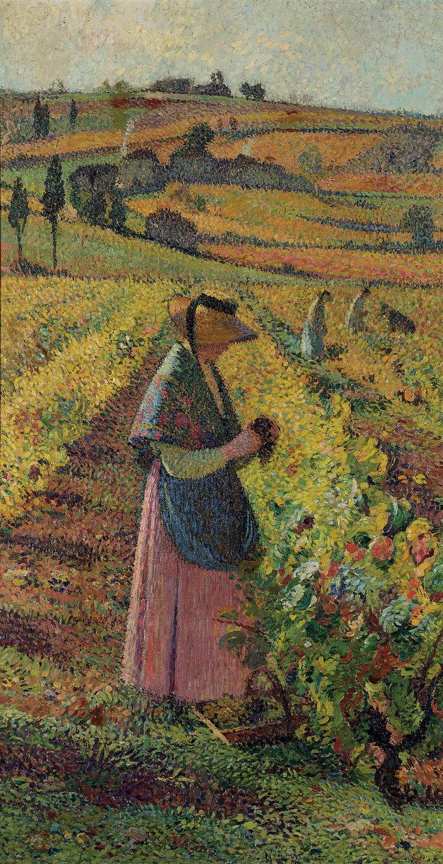 Sklizeň; Sklizeň hroznů, cca 1925 od Henri Martin