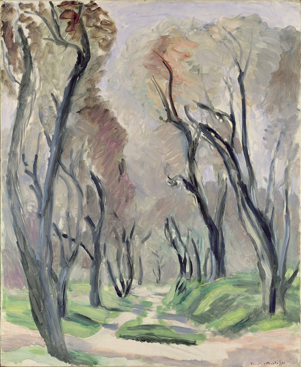 Alej olivovníků od Henri Matisse