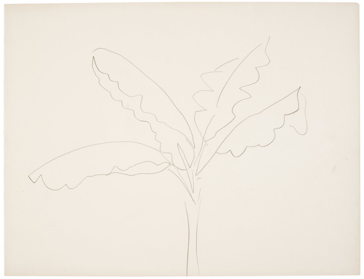 Banánovník (Tahiti) od Henri Matisse