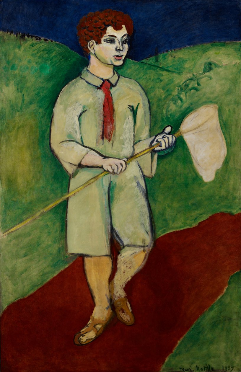 Chlapec se sítí na motýly od Henri Matisse