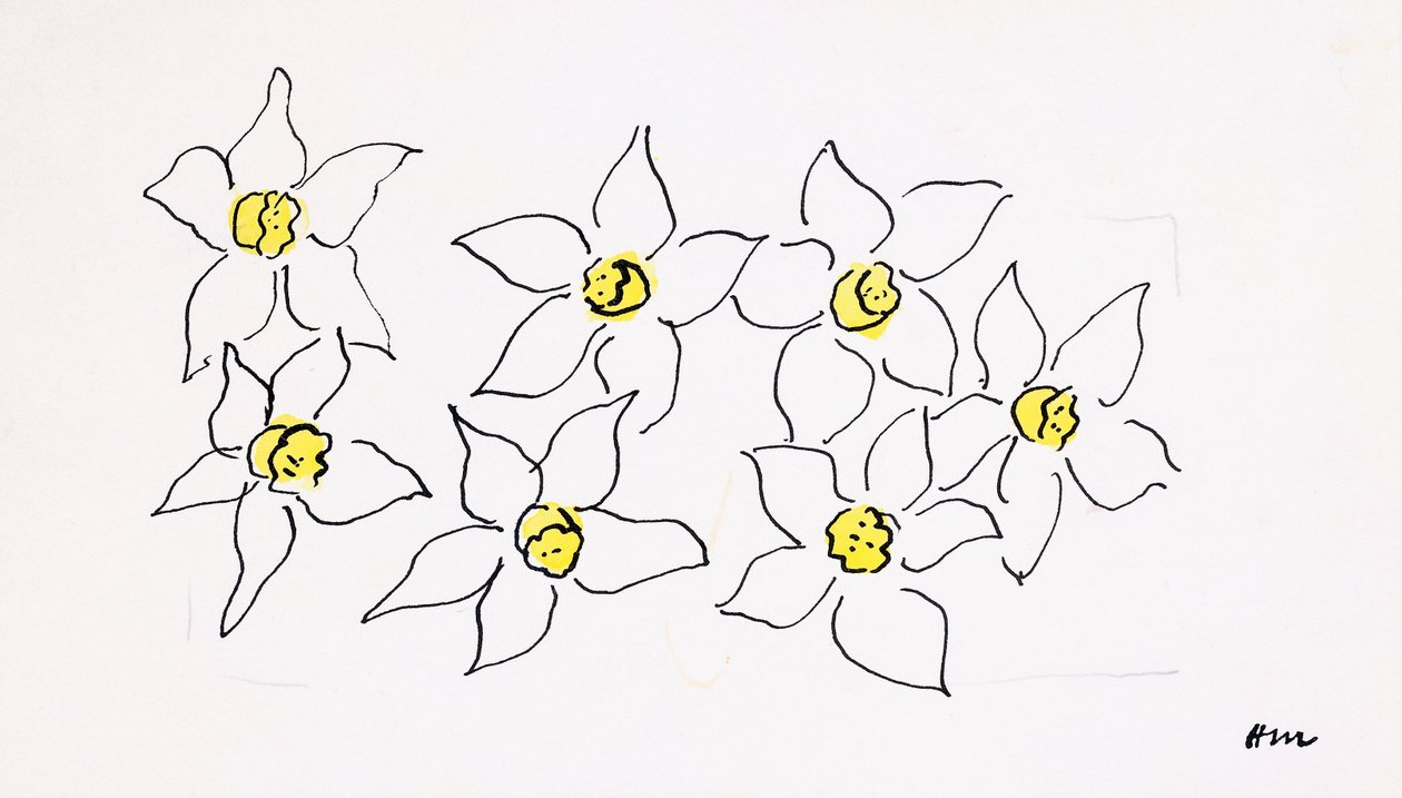 Narcisy od Henri Matisse