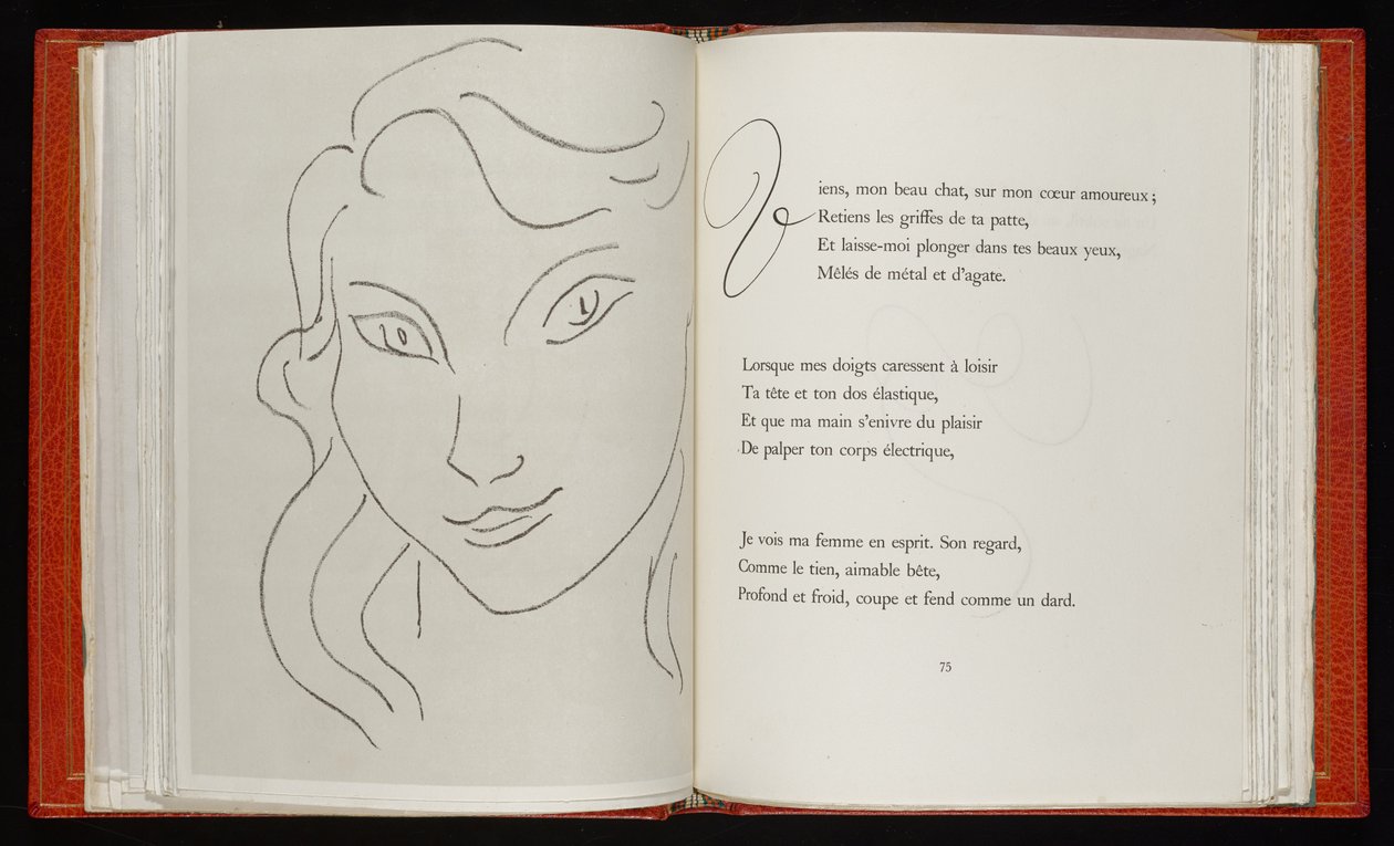 Květy zla od Henri Matisse
