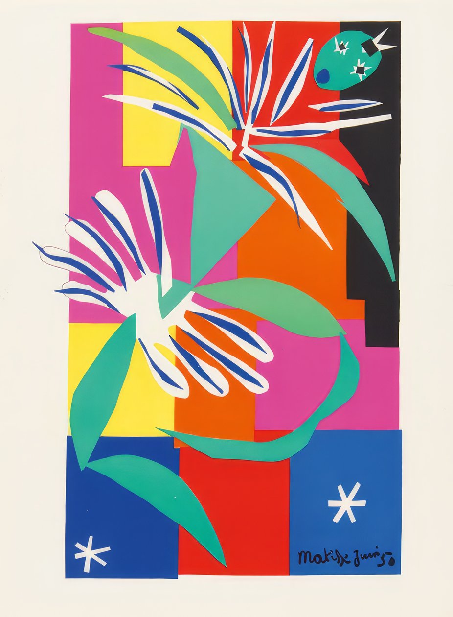 Svazek osmi barevných litografií od Henri Matisse
